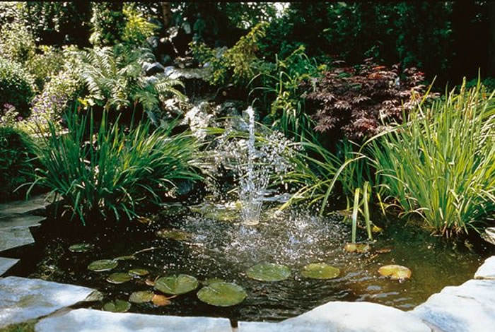 Construir un estanque en el jardín con cubeta  Revista de Flores, Plantas,  Jardinería, Paisajismo y Medio ambiente