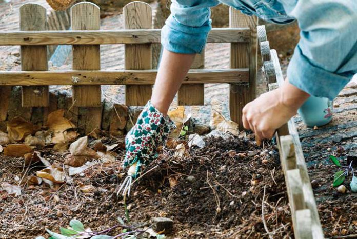 Compostador con productos orgánicos