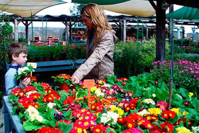 Comprando en un centro de jardinería