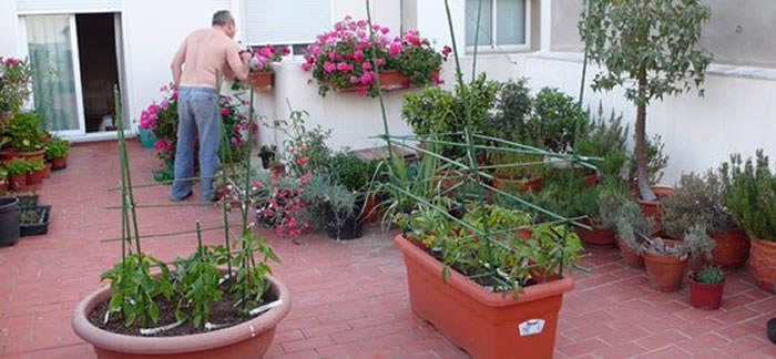 Cómo hacer un huerto urbano en una terraza