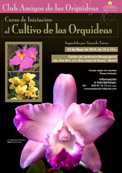 Poster del Curso de iniciación al cultivo de las orquídeas | Revista de  Flores, Plantas, Jardinería, Paisajismo y Medio ambiente