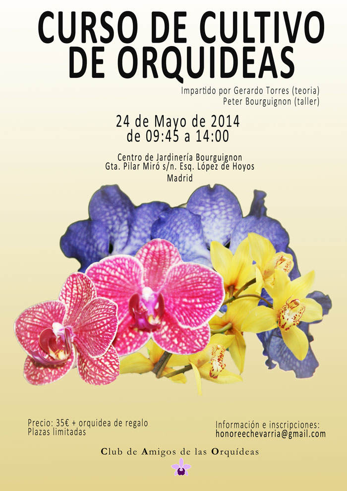 Curso sobre el cultivo de orquídeas