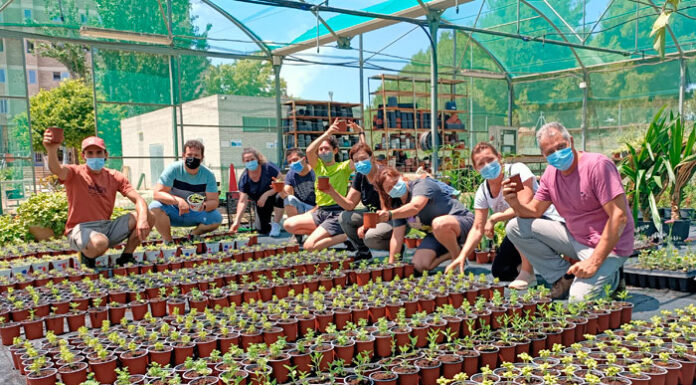 Las rosas  Revista de Flores, Plantas, Jardinería, Paisajismo y