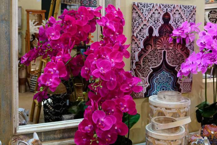 Decoración con orquídeas phalaenopsis