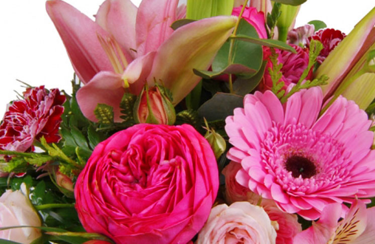 Las ventajas de enviar flores a domicilio | Revista de Flores, Plantas,  Jardinería, Paisajismo y Medio ambiente