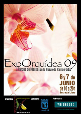 ExpOrquídea 09 es la exposición donde se muestran las orquídeas más  curiosas, raras y bellas de todo el mundo | Revista de Flores, Plantas,  Jardinería, Paisajismo y Medio ambiente