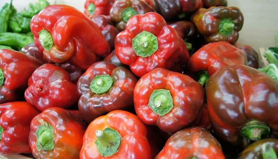 frutos de pimientos rojos