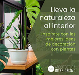 Ideas de decoración con plantas