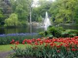 Parque de keukenhof