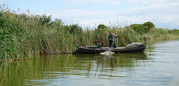 Pesca en el humedal de la Albufera en Valencia