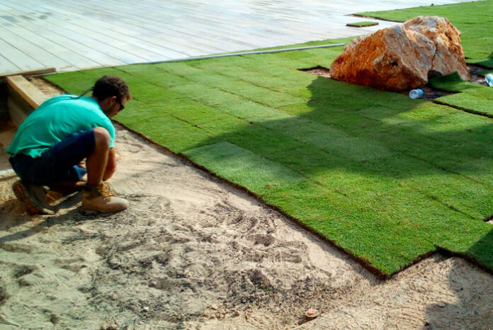 Plantación de la Zoysia Geo en tepes