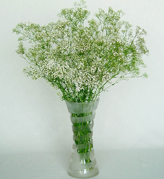 Ramo de gypsophila paniculata1