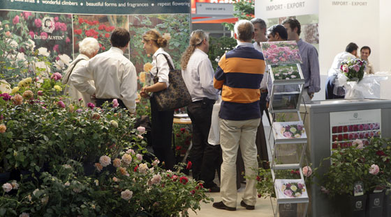 Stand de rosas